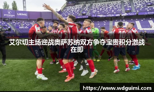 艾尔切主场迎战奥萨苏纳双方争夺宝贵积分激战在即